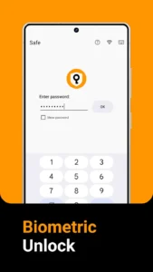 Passwords-Passkeys－Safe 8