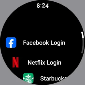 Passwords-Passkeys－Safe 17