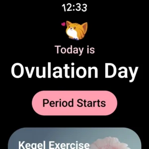 Period-Calendar-Period-Tracker 10