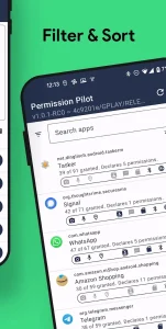 Permission-Pilot 3