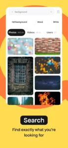 Pexels 3