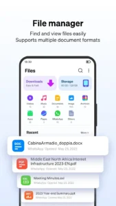Phoenix-Browser 6