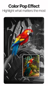 Photo-App-AI-Photo-Enhancer 6