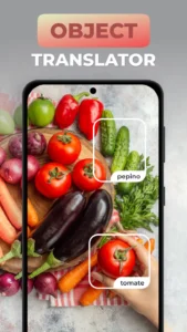 Camera-Translator-Photo-Text 2