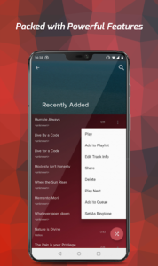 Pi-Music-Player 8
