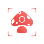 Picture Mushroom - Mushroom ID logo