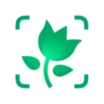 PictureThis logo