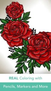 Pigment-Coloring-Book 2