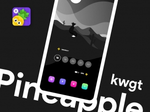 Pineapple-KWGT 7