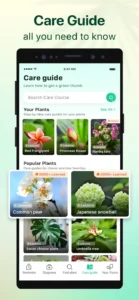 Plant-Parent-My-Care-Guide 6
