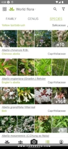 PlantNet-Plant-Identification 3