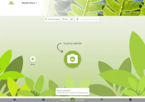 PlantNet-Plant-Identification 9