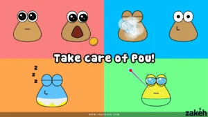 Pou 6
