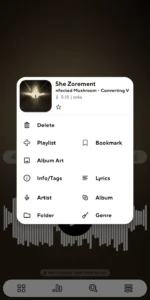 Poweramp-Full 2
