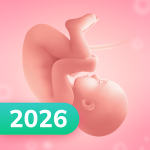 Pregnancy and Due Date Tracker logo