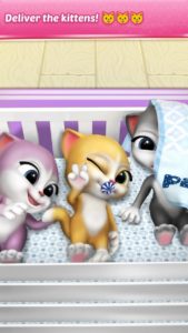 Pregnant-Talking-Cat-Emma 4