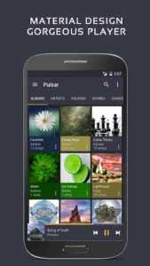 Pulsar-Music-Player-Pro 1