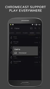 Pulsar-Music-Player-Pro 7