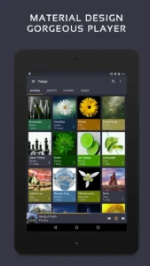 Pulsar-Music-Player-Pro 9