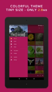 Pulsar-Music-Player-Pro 10