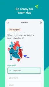 Quizlet-Plus 5