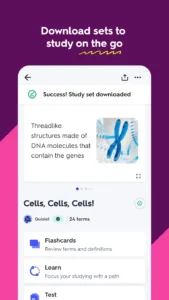 Quizlet-Plus 3