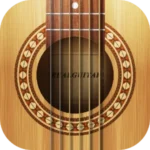 Real Guitar: acoustic electric logo