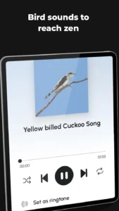 Ringtones-for-Android 1