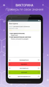 Russian-Explanatory-Dictionary 4