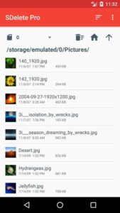 SDelete-Pro 2