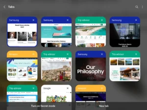 Samsung-Internet-Browser 10