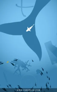 Shoal-of-fish 2