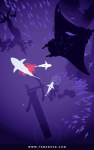 Shoal-of-fish 3