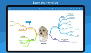 SimpleMind-Pro 10