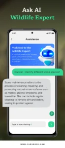 Snake-Identifier-AI-Scanner 4
