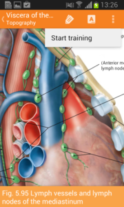 Sobotta-Anatomy-Atlas 2