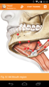 Sobotta-Anatomy-Atlas 4