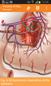 Sobotta-Anatomy-Atlas 6