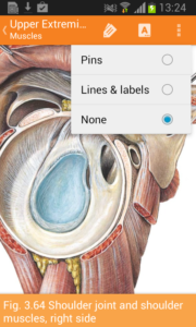 Sobotta-Anatomy-Atlas 7