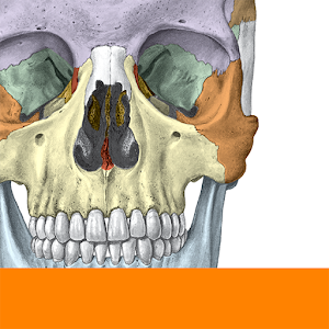  Sobotta Anatomy Atlas  logo