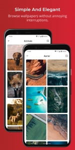 Swift-Walls-Wallpapers 3
