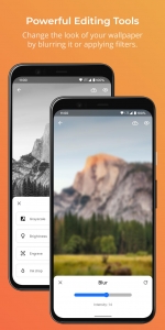 Swift-Walls-Wallpapers 5