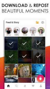 SwiftSave-Downloader-for-Instagram 7