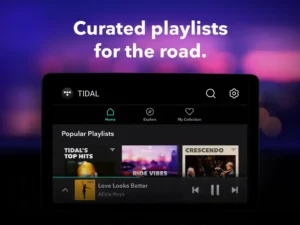 TIDAL-Music 13