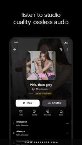 TIDAL-Music 3