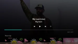 TIDAL-Music 14