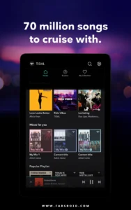 TIDAL-Music 17