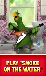Talking-Pierre-the-Parrot 1