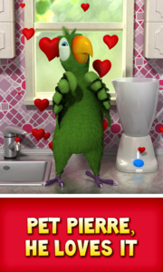 Talking-Pierre-the-Parrot 5