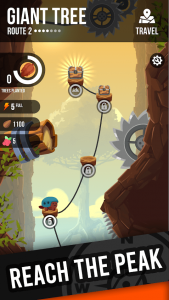 Tallest-Tree 1